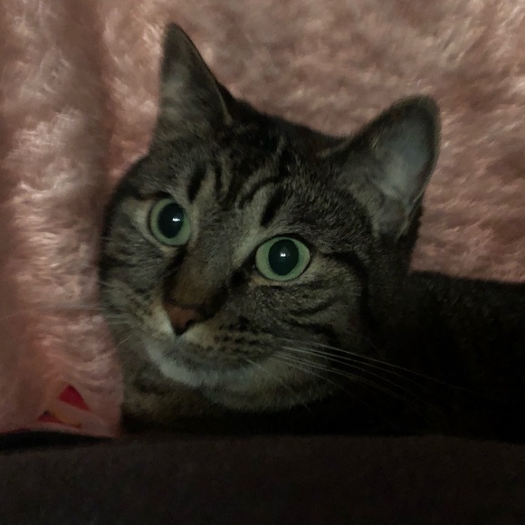 Meet your Posher, Candice - Picture 1 of 2